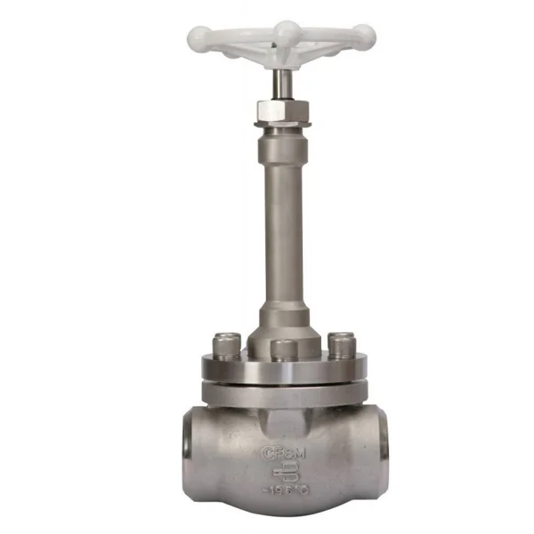 Cryogenic Stainless Steel Globe Valve PN40 DN50 Welding End Low Temperature Long Stem Cryogenic Globe Valve
