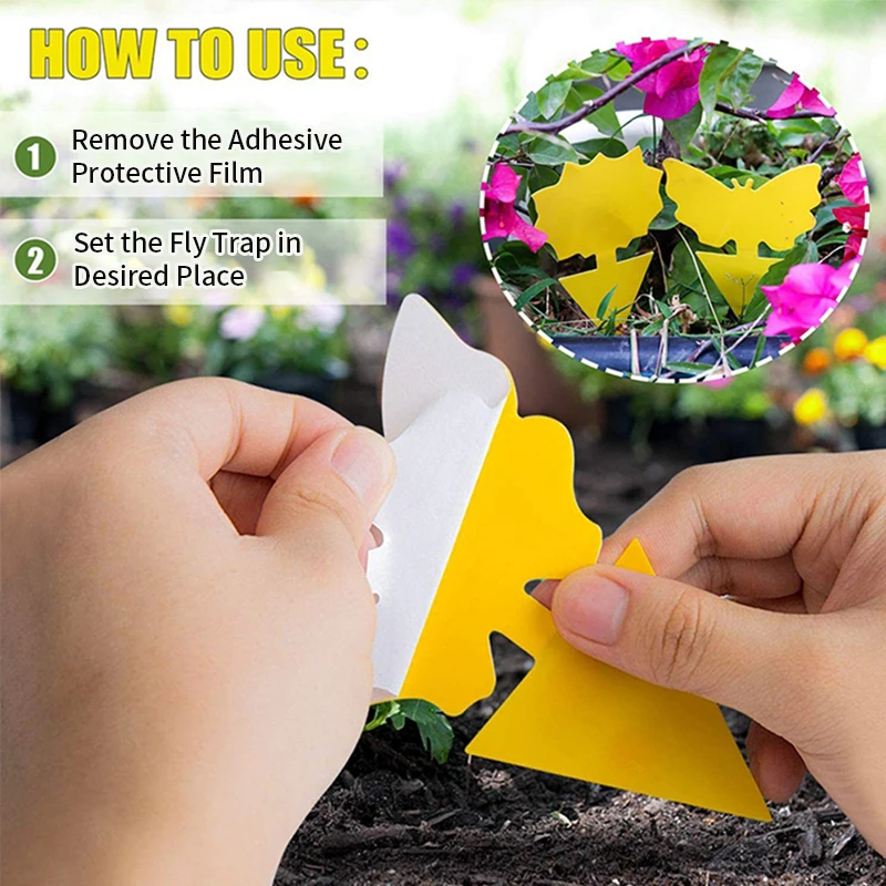 Sticky Traps  (17).jpg