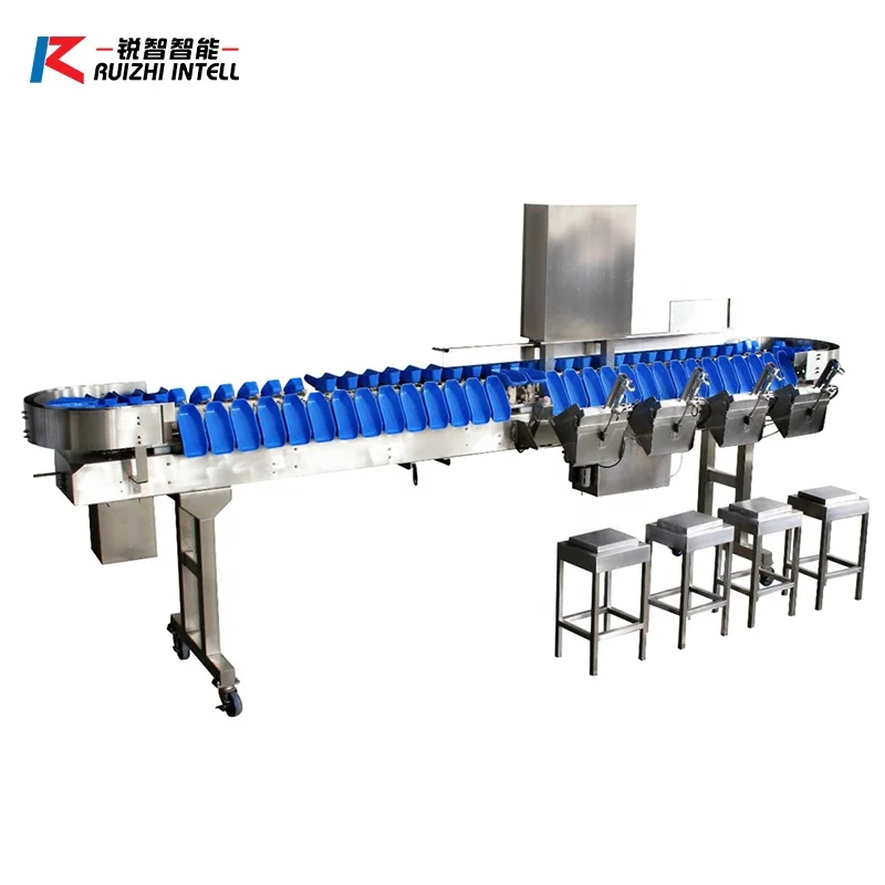 Chicken Paws Belt Type  Sorting Chicken Paws Grading Machine