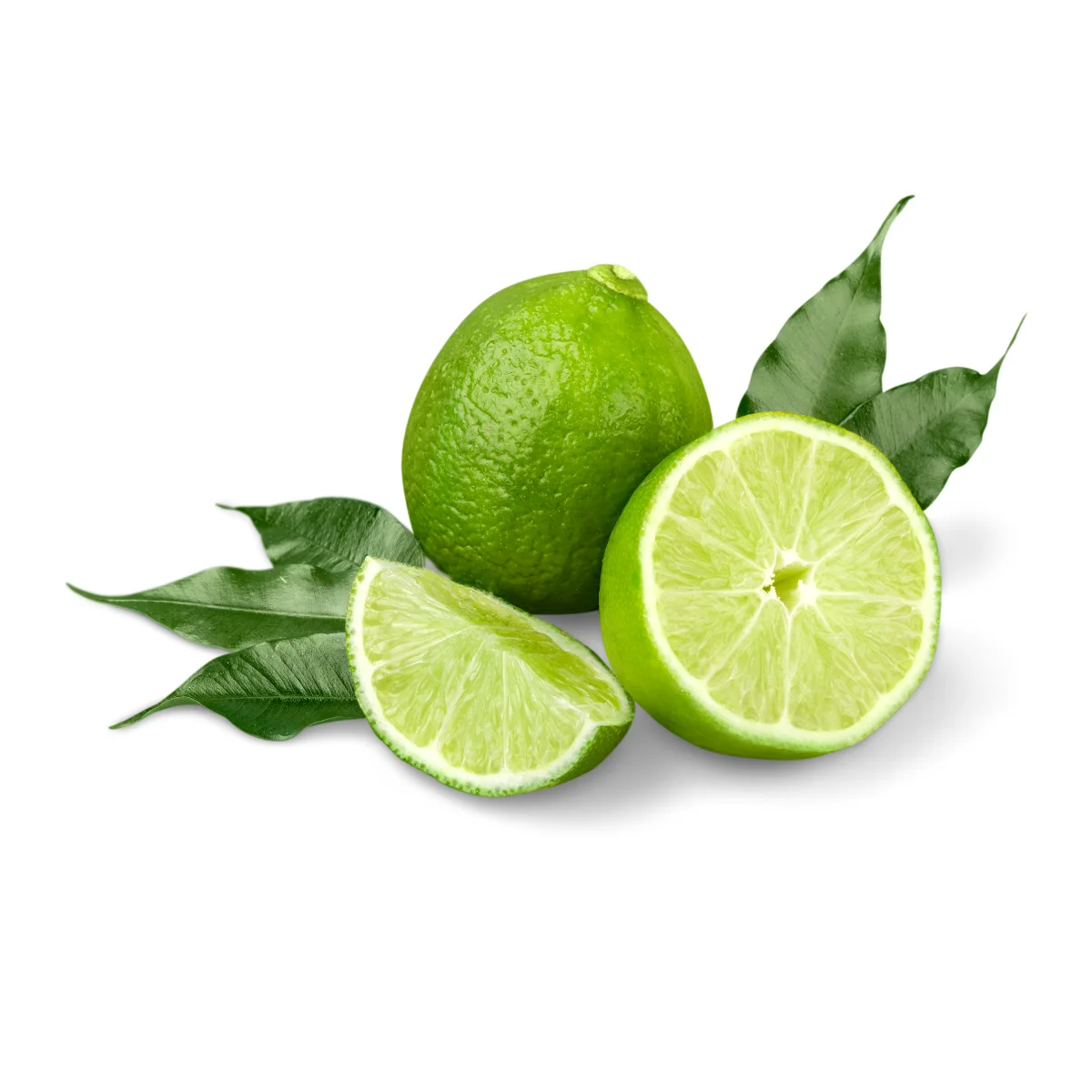 Brand VIETNAM AGRICULTURE Wholesale High Quality 100% Natural Sour Fresh Seedless Lime Lemon Rich In Nutrients From Vietnam
