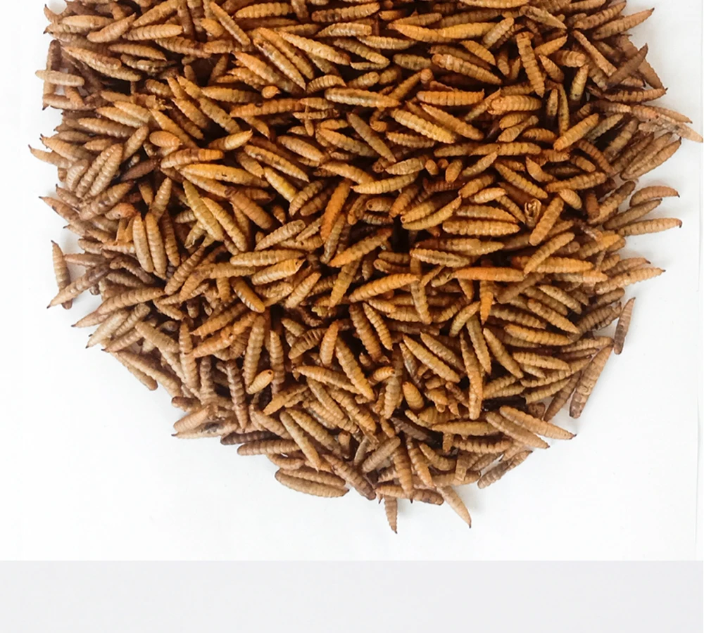 Janio New Product Wren Nourishing and Fattening Bird Feed