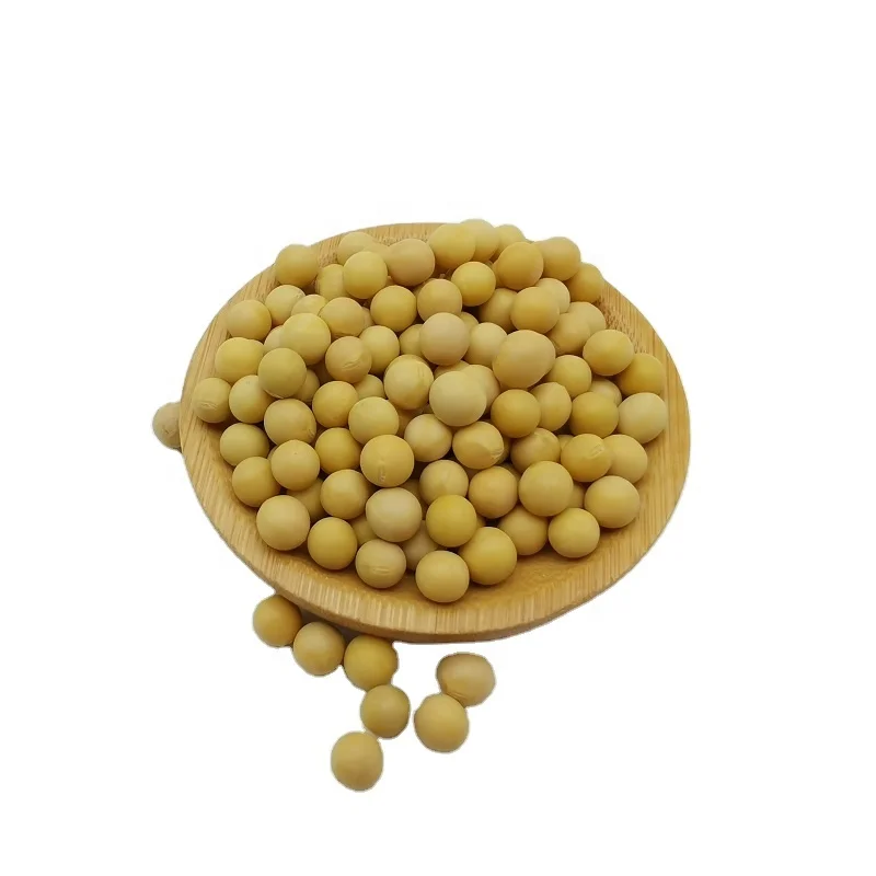New Crop wholesale soybean seeds China origin bulk soybeans wholesale