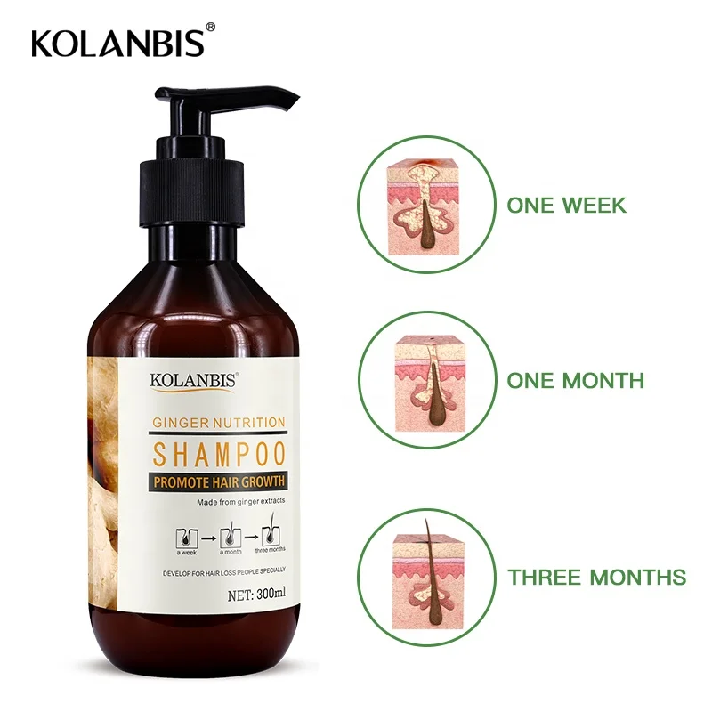  KOLANBIS оптовая продажа лучший натуральный экстракт корня имбиря шампунь для роста волос продукты против
