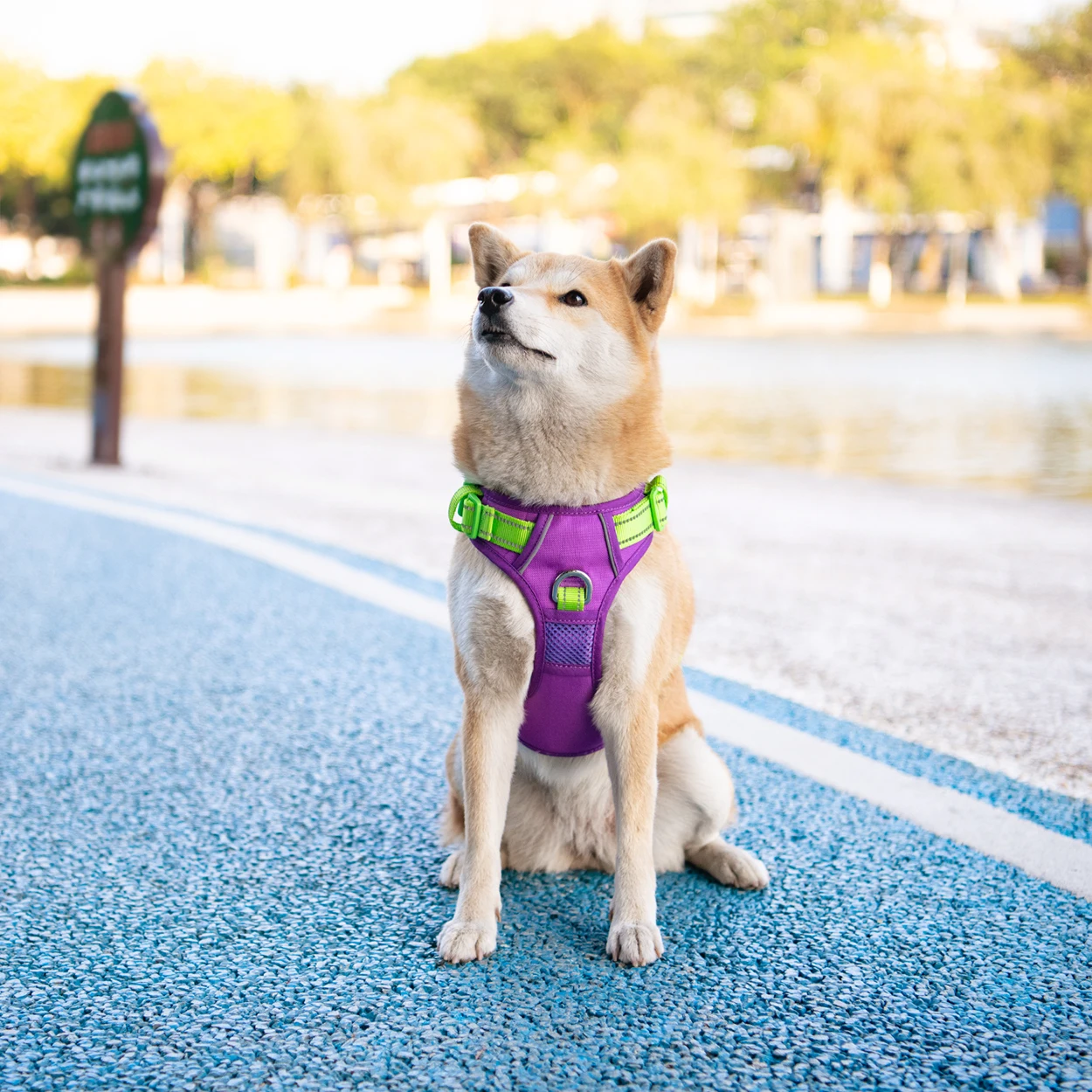 No Pull Dog Harness, Front Lead Reflective Dog Harness, Adjustable Soft Padded Pet Harness Vest with Easy Control Handle