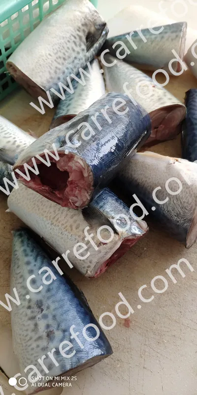 425g 155g Canned Mackerel and Sardine in Tomato Sauce