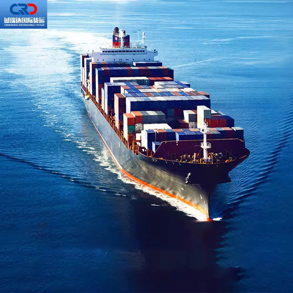 Freight Forwarder cheap DHL UPS FedEx TNT Express from China to Pakistan India Turkey South Africa