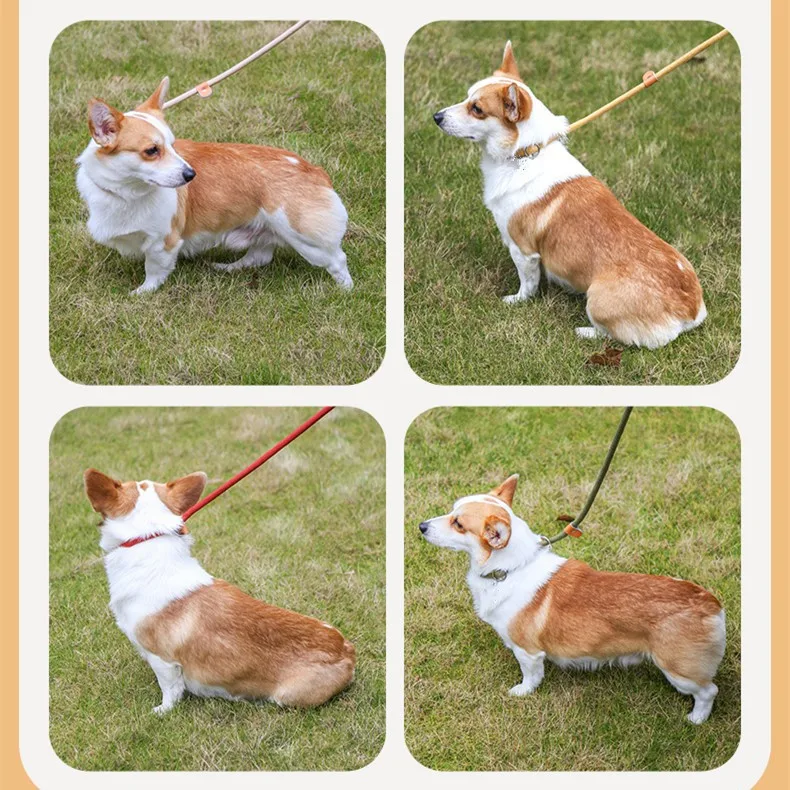 Hot pet dog rope nylon seam leather explosion-proof punch P rope lengthened thick training dog leash