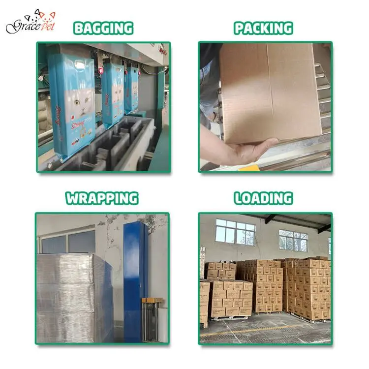 Factory One Step Service Bentonite Cat Litter Deodorize Master Active Carbon Crash Shape