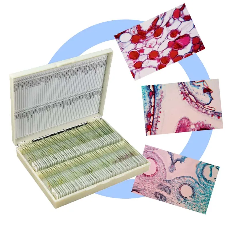 medical science 100pcs  Human  Histology Prepared Slides Set Specimens Microscope Prepared Slides
