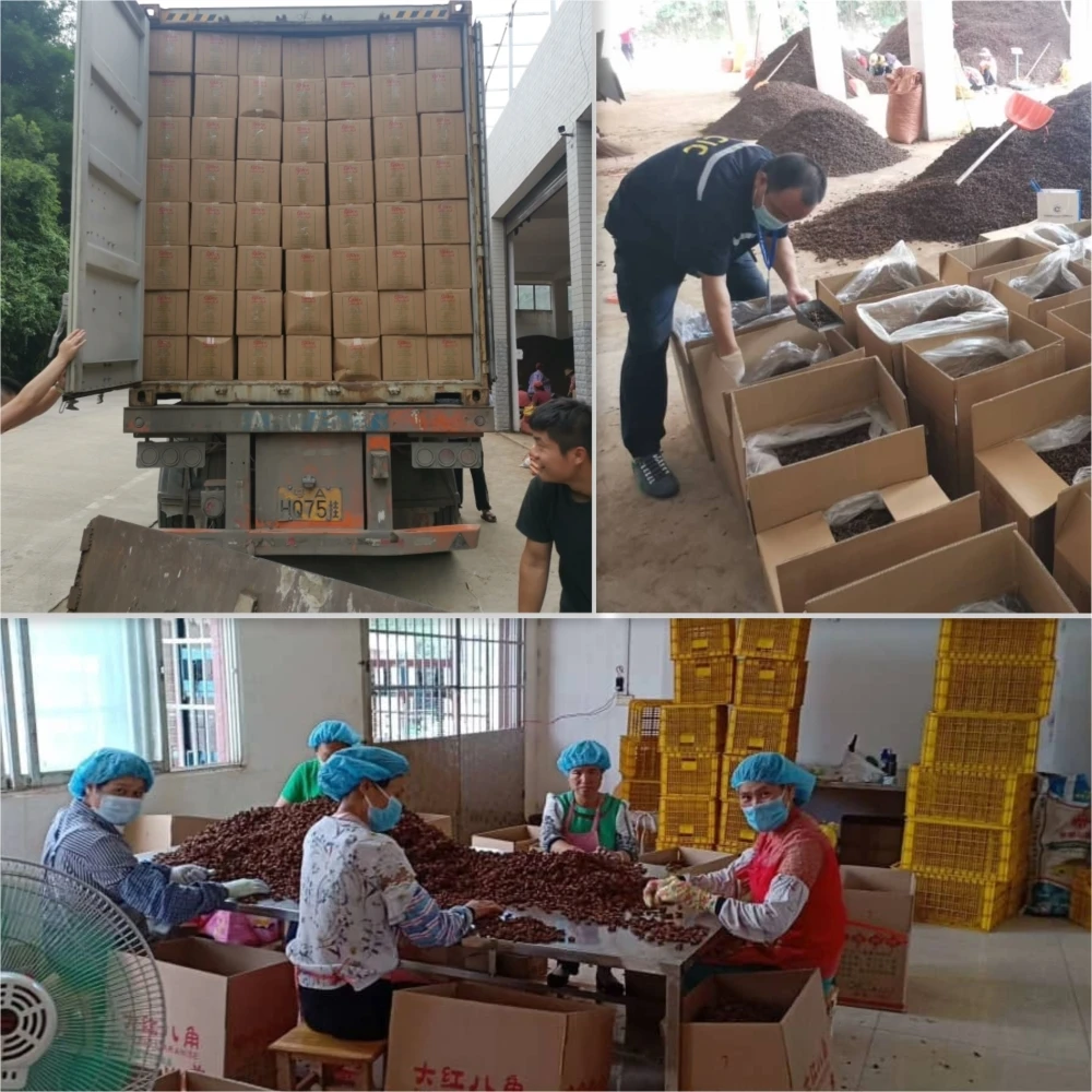 Заводская 100% натуральная Сладкая Пряная Высококачественная Гвоздика из свиной грудинки и аниса гриль для барбекю порошок со вкусом оленины семена