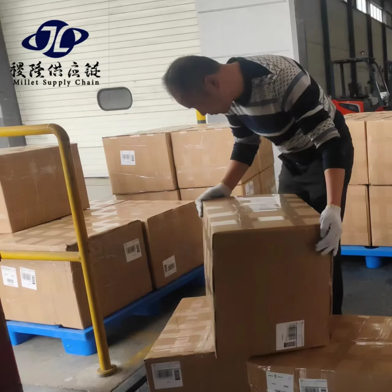 Dropshipping  Express  Service Shipping Agent Freight Forward Cargo Shipping Company From china to USA