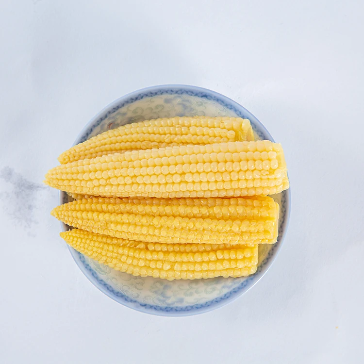 New season canned chinese yellow baby corn in tin in brine  low price & high quality