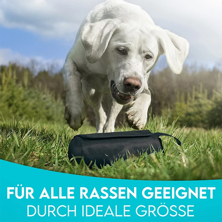 QQgift custom durable Dog Treat Pouch Dog Treat Bag with Waist Clip Carabiner Side Pocket high quality  dog training treat bags