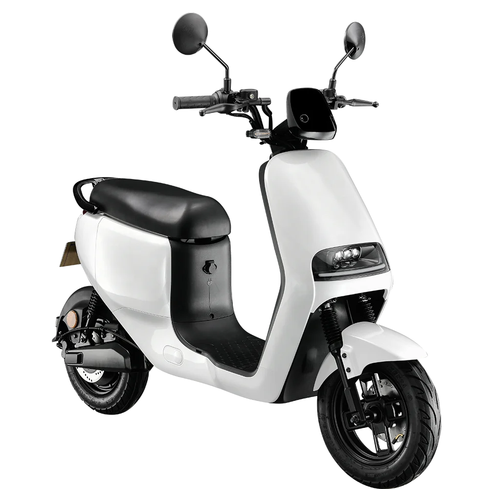 Factory Supplier Electric Scooter With EEC COC appoval 10inch 2000w Motor With Removable Lithium Battery 2 Wheels Electric Moped