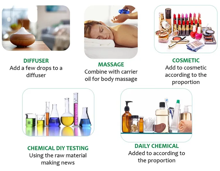 Manufacture Supply  100% Pure Frankincense Essential Oil Bulk