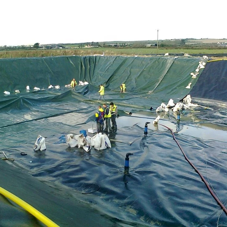 
HDPE LDPE LLDPE geomembrane pond liner 