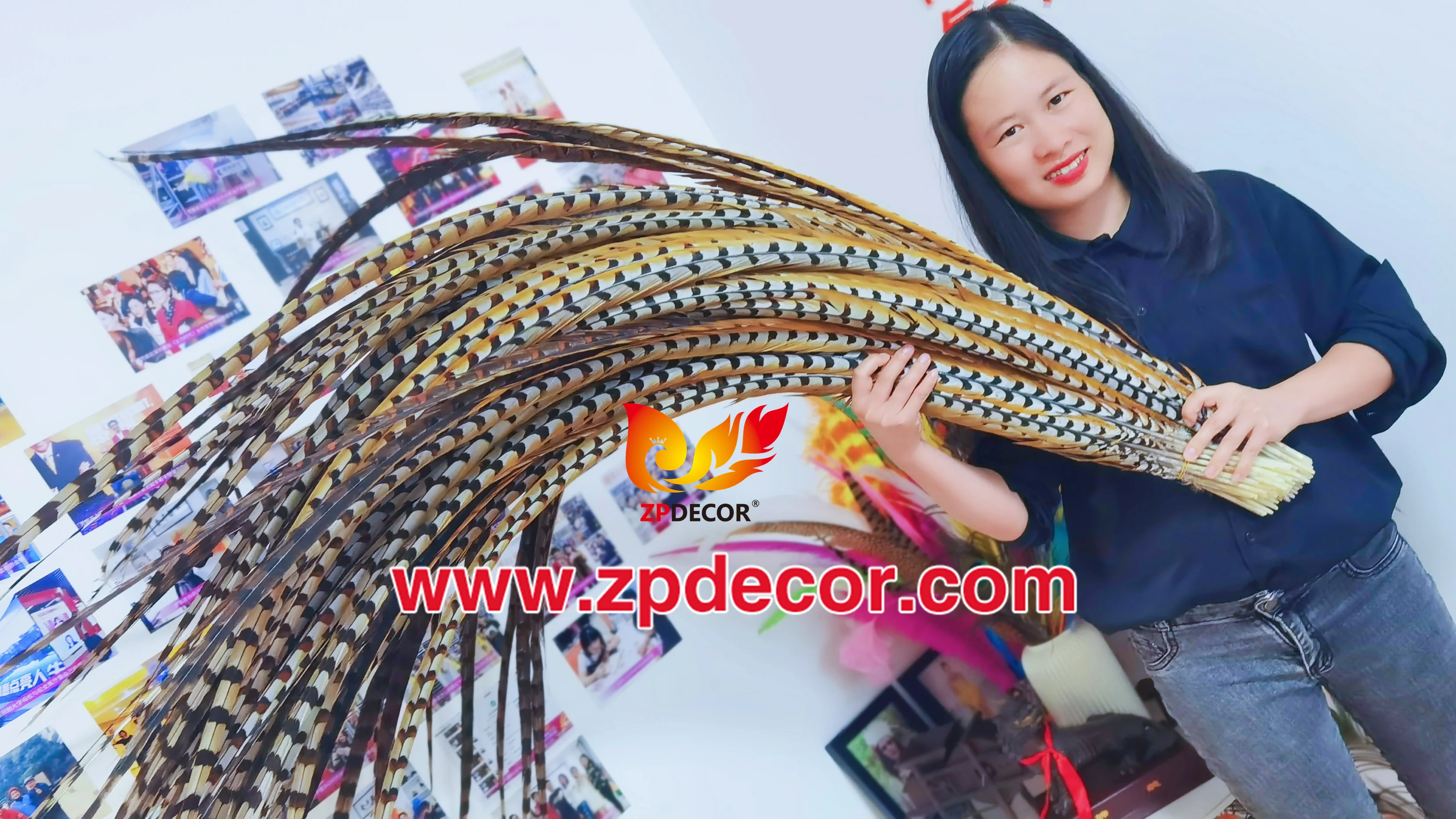 Zpdecor Feathers Wholesale Stock Super Long Natural Reeve Pheasant Tail Feathers for Carnival Costumes