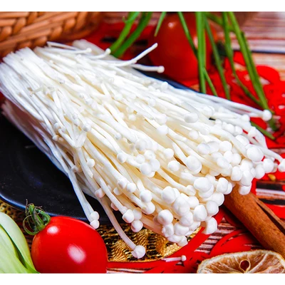  Хороший вкус свежая игла гриб