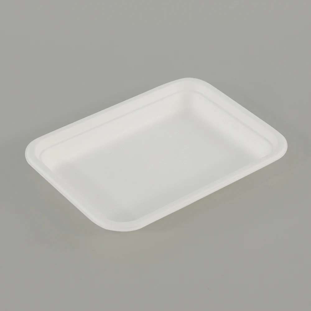 Biodegradable Rectangle Compostable Disposable Bagasse Pulp Sugarcane Plate Food Tray