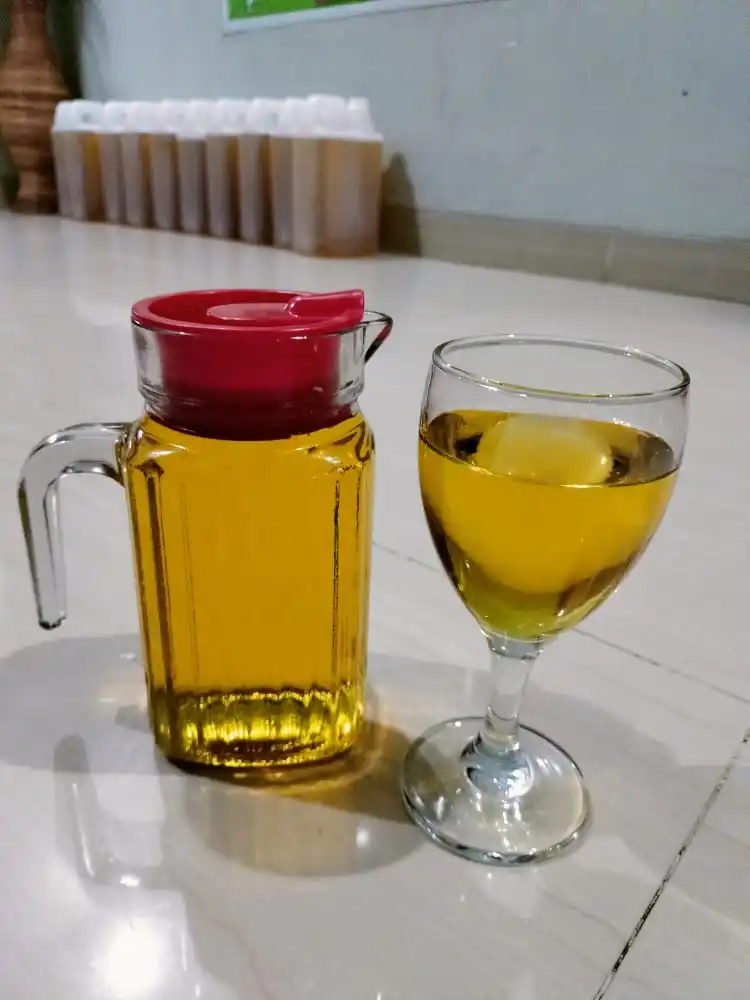 20liter Palm CP10 5.jpg
