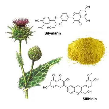 
High Quality Pure Silymarin 70% 80% UV milk thistle extract 