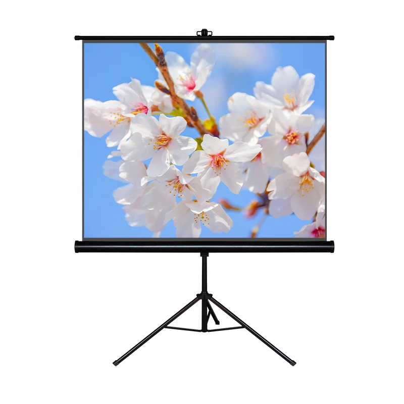 110 дюймовый водонепроницаемый матовый белый Регулируемый наружный проектор экран Штатив для видеопроектора экран