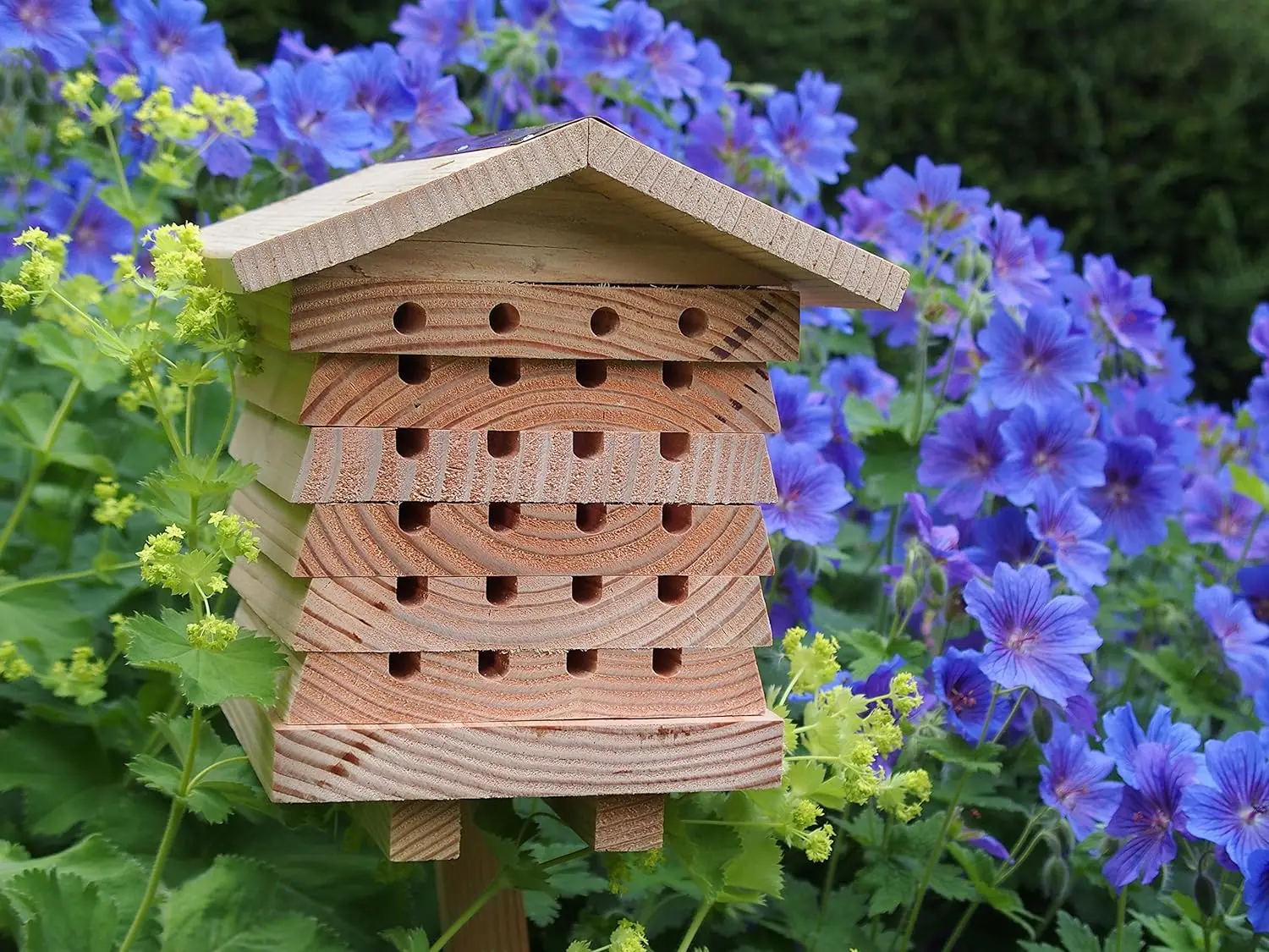 Hot Sale Interactive Wooden Bee House Pollinator Bee Management System Wooden Insect Hotel Hive Bee Boxes