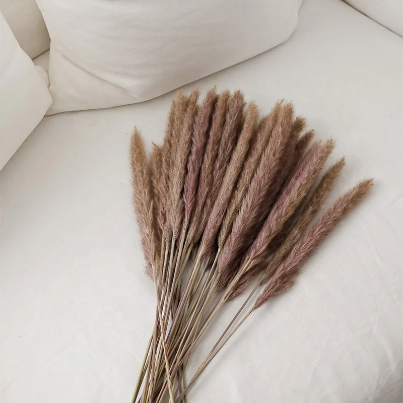 Factory Pampas White Color Wedding Flower Arrangements Home Decor Dried Natural Small Big Large Pampas Grass