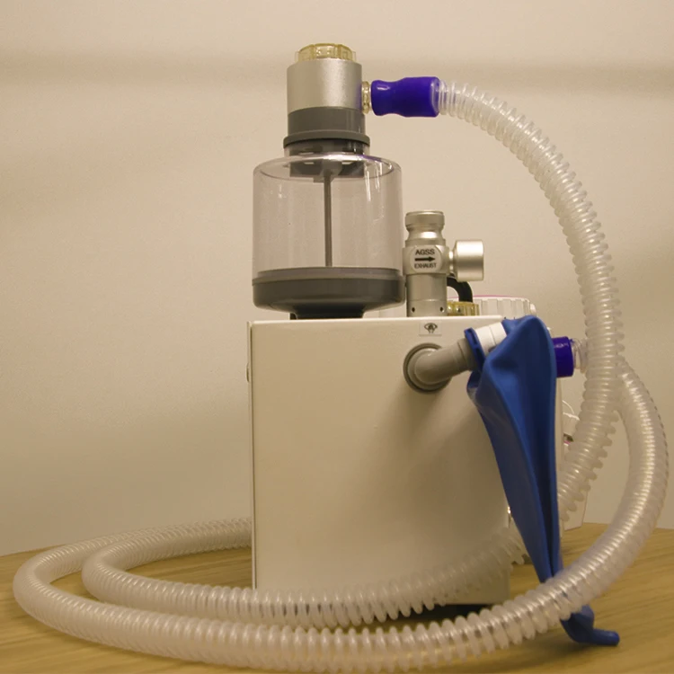 Online Shop Turkey Excellent Performance Other Veterinary Instrument Anesthesia Machine for Vet