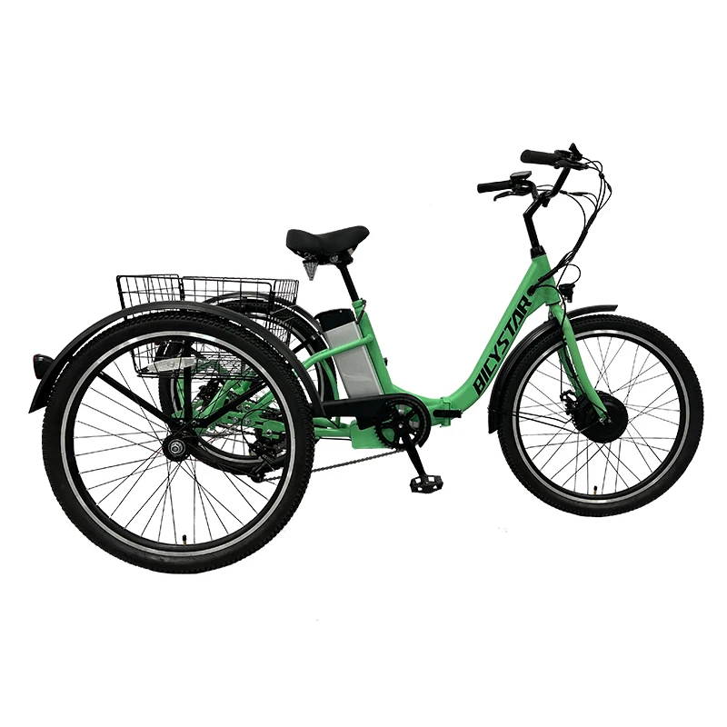 Adult 500W Motor Bicycle City Cargo Electric Tricycle 3 wheel electric tricycle cargo tricycle for sale