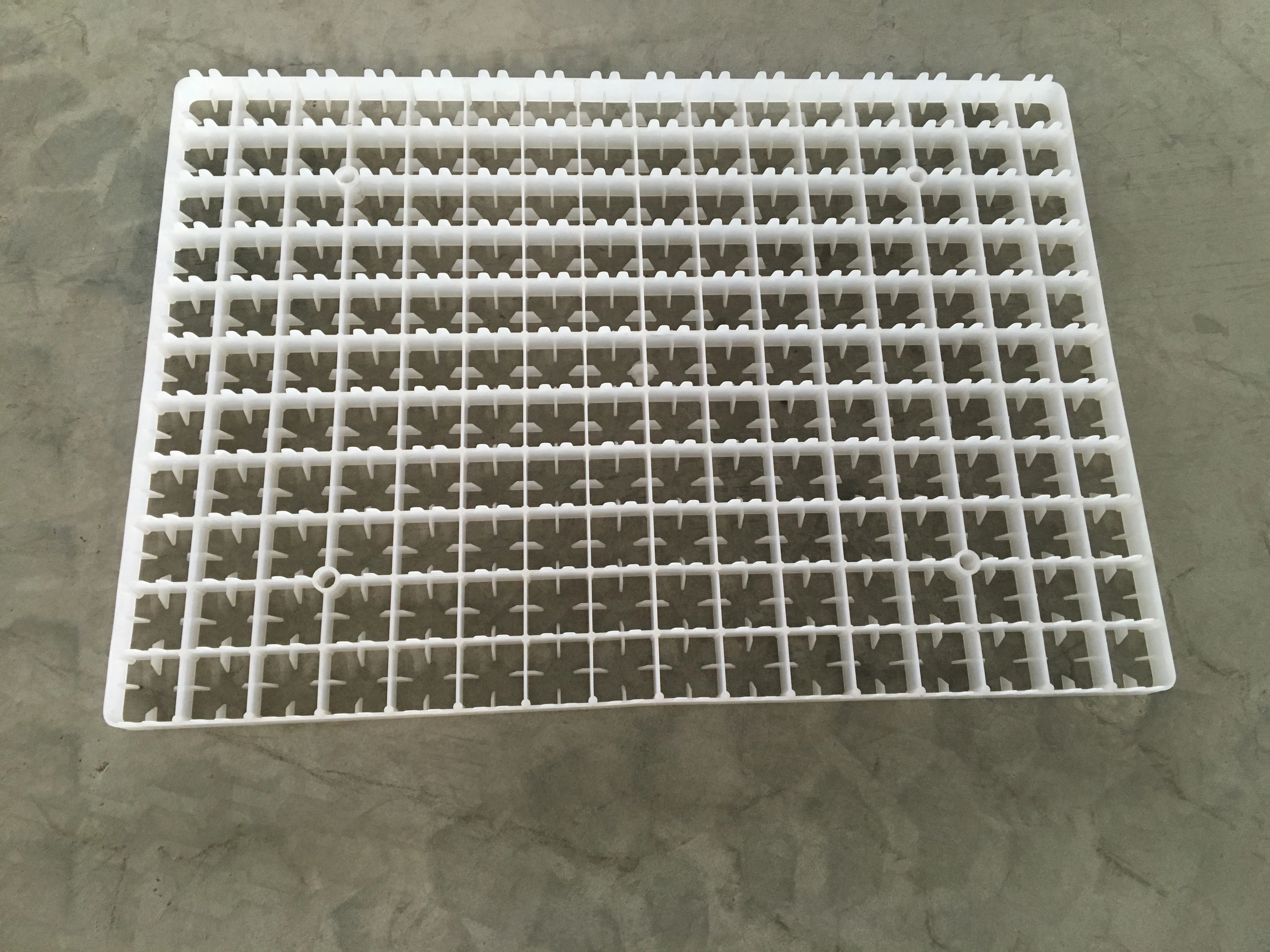 
Egg incubator spare parts 221 quail egg tray for sale 