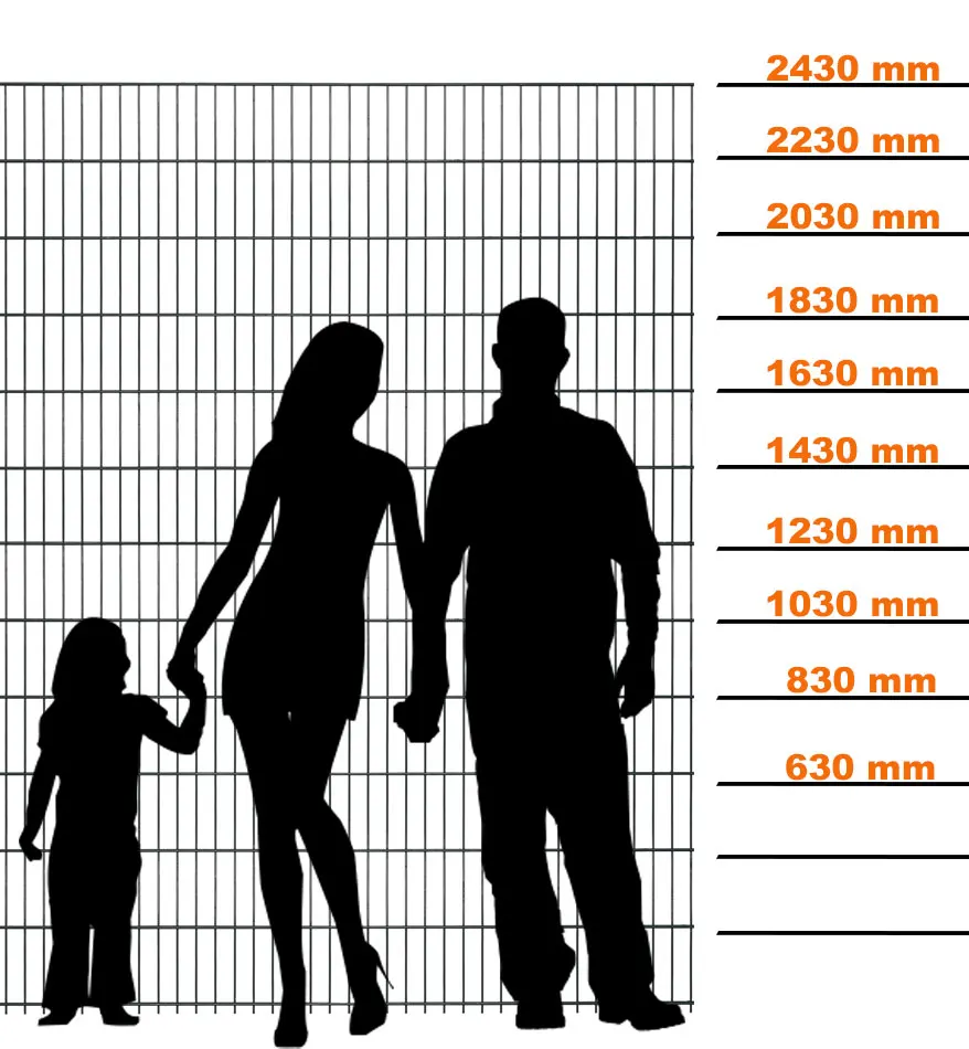 Trusted Factory Supplyes Galvanized and Powder Coated 2D Double Wire Fence 656 868 Mesh Panel Twin Wire Mesh Fence