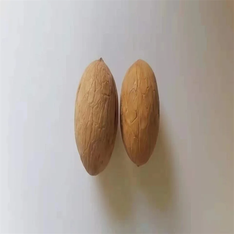 Chinese Raw Dry Clean Walnut with Shell Wholesale Plant for Export