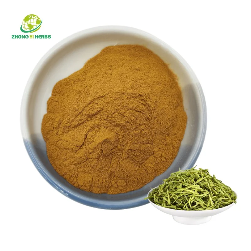 Zhongyiherbs Bulk Honeysuckle Flower Extract 5% 10% Chlorogenic Acid
