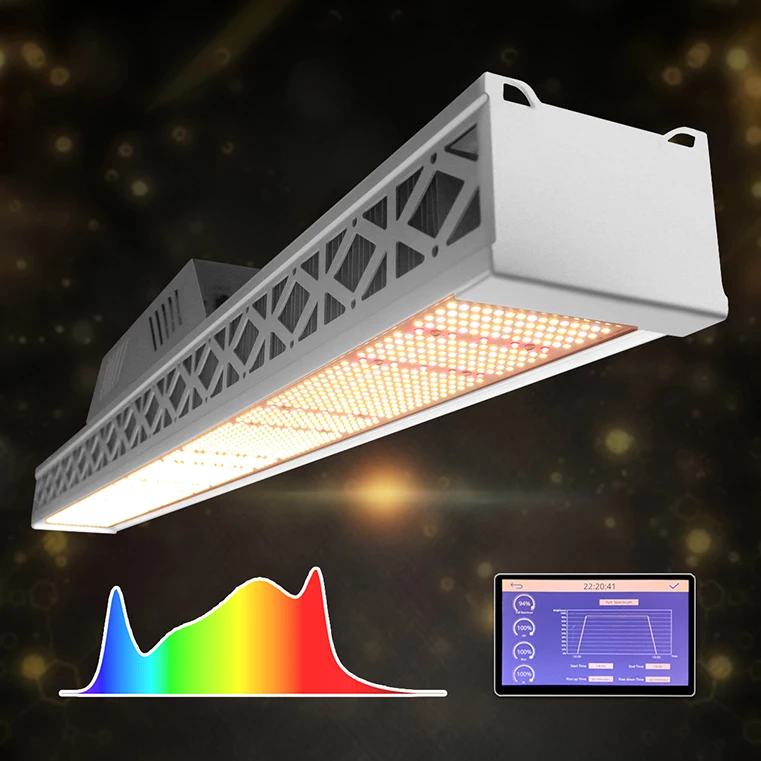 Full Spectrum Waterproof 6500K white grow led light stripe greenhouse bloom led grow light for planting