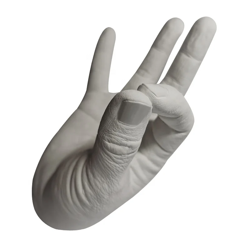 Hand casting set hand craft clone powder alginate casting powder