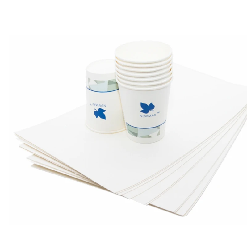 Paper Cup Fan without printing PE Coated Cup Paper in Fan/ Reel/ Sheet