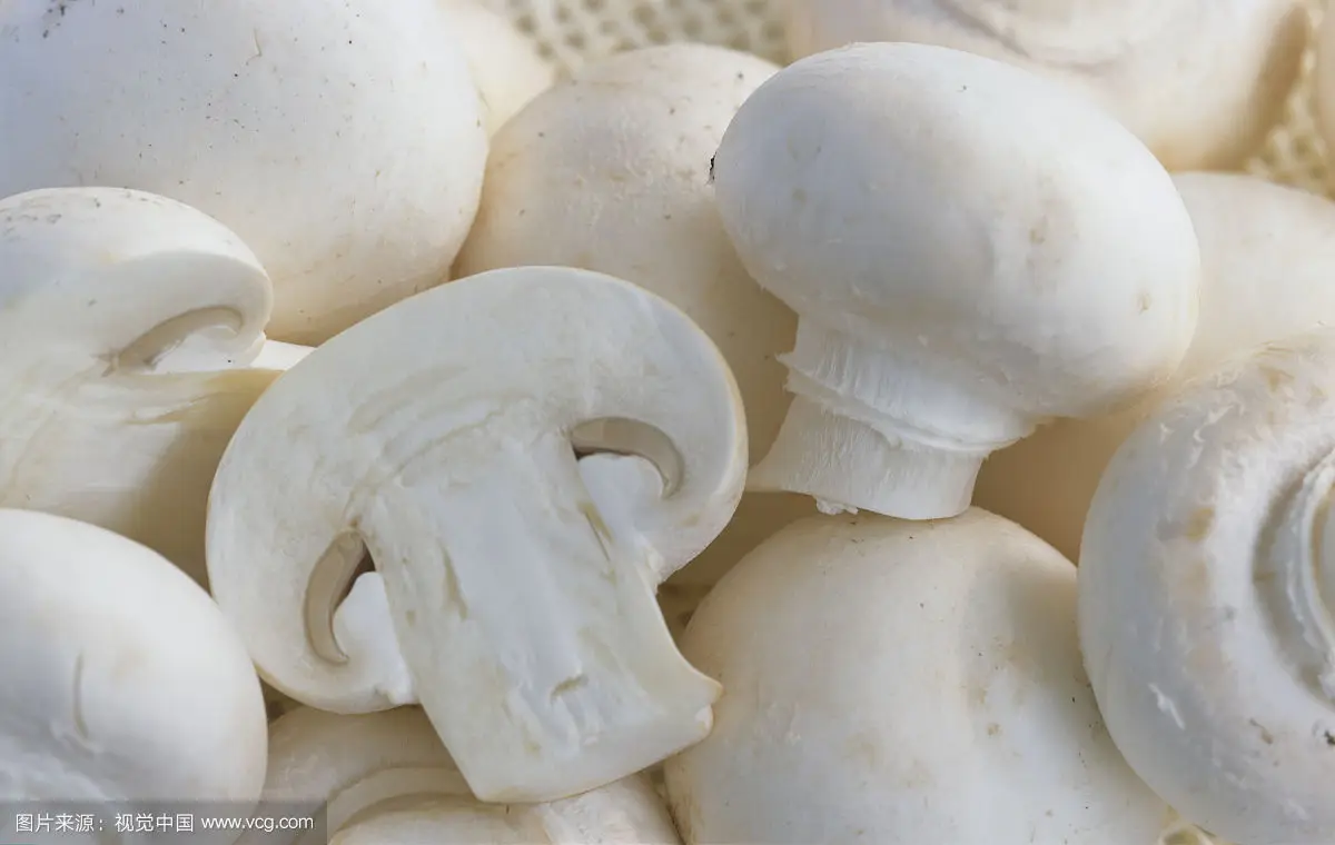 Консервированные грибы премиум-класса shiitake в барабане