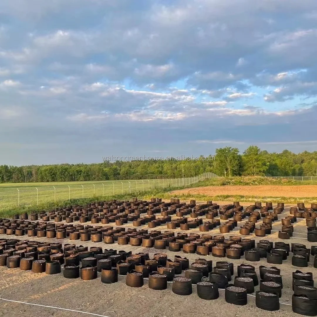 3/5/10/15/20/25/30 Planter Grow Bag Tree Seeding Pot Fruit Fabric Plant Pots Flower Pot 100 Gallon Grow Bags for Planting