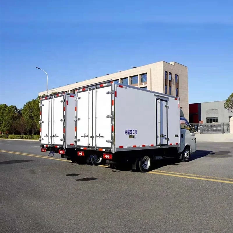 Gasoline Fuel Type JAC 2 Tons Refrigeration Truck Mini Freezer Van Truck for Sale
