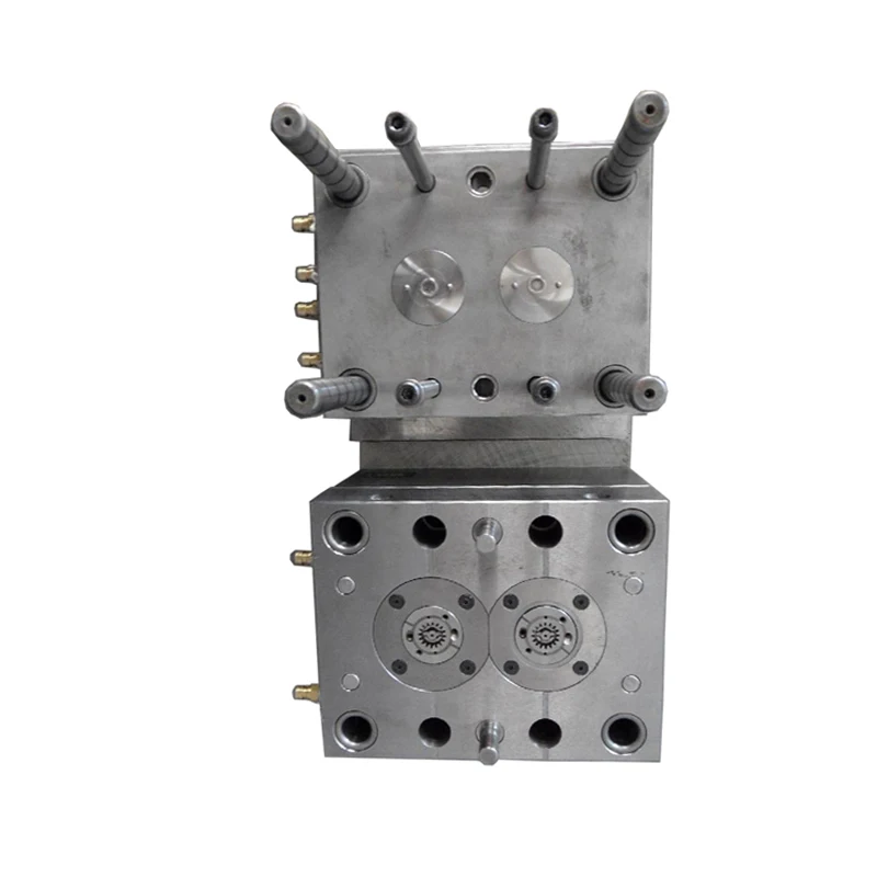 China Mold Manufacturer Manufacturer Injection Molding Plastic Products Mold and OEM Manufacturing with Injection Molding