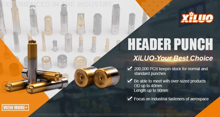 Good Quality Tungsten Carbide Cold Heading Die  With Long Service Life Main Dies