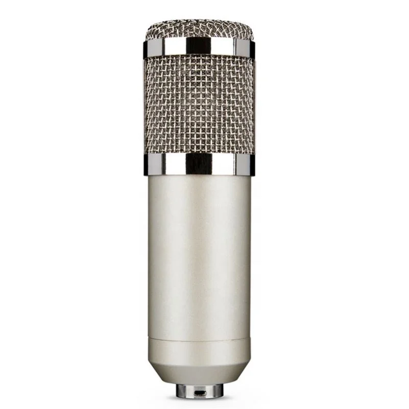 Low Price Broadcasting Microphone For Studio Recording With Stand Kit