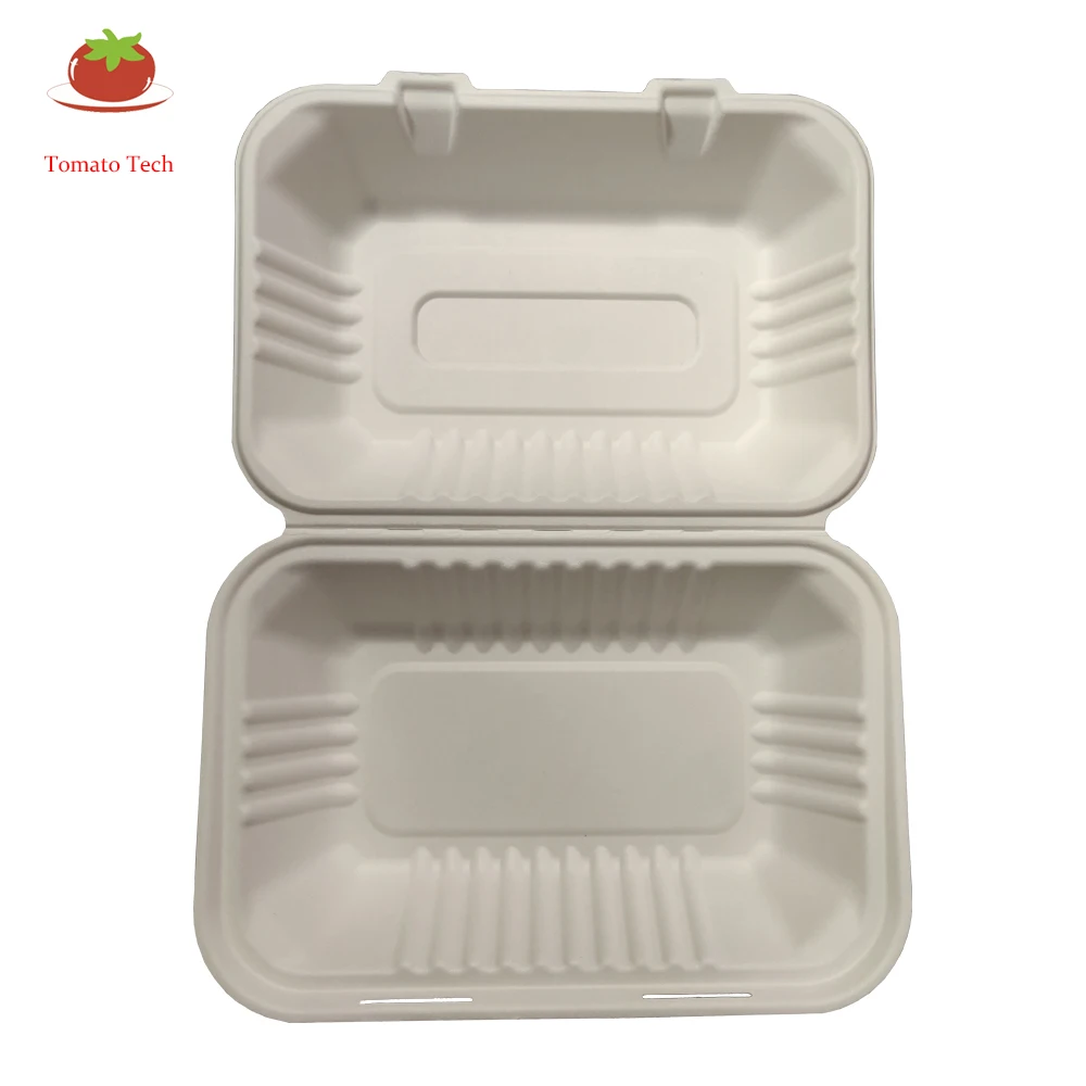 Biodegradable White Bagasse 1000ml 9x6 Inch Takeout  Food Container