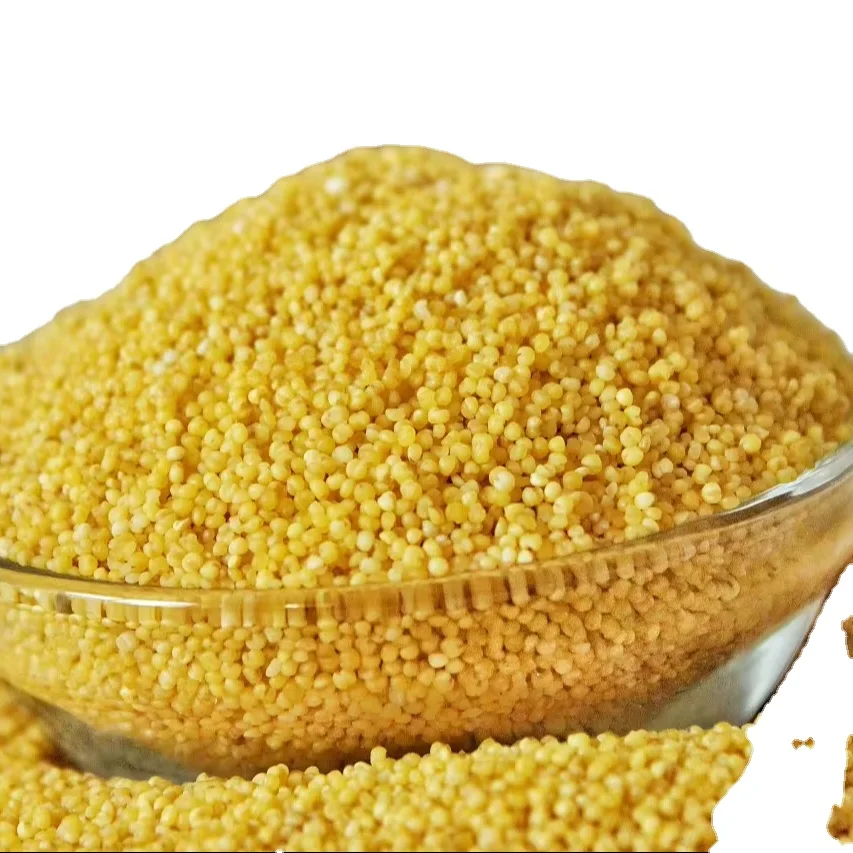 High-quality yellow millet made in China grows in an excellent environment