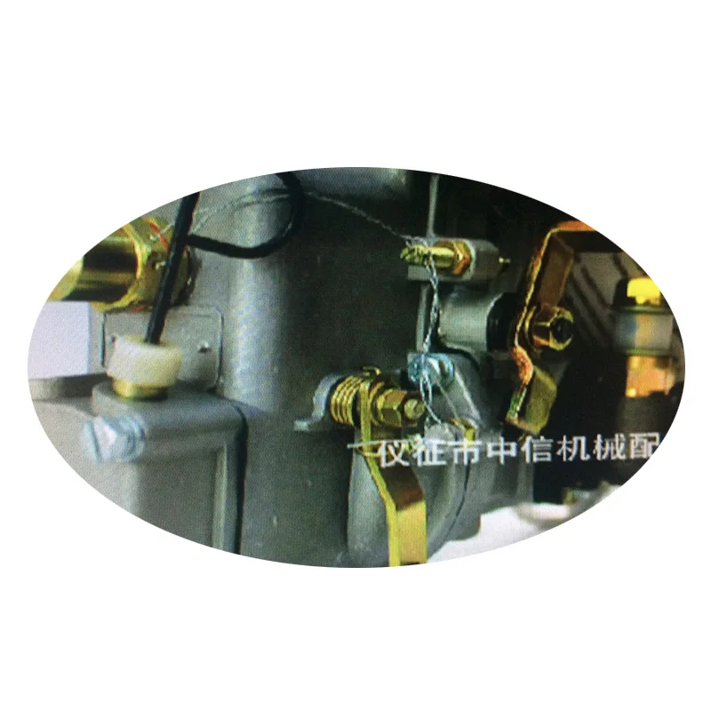 4PL404 Fuel Pump Changchai 4B26 Fuel Pump