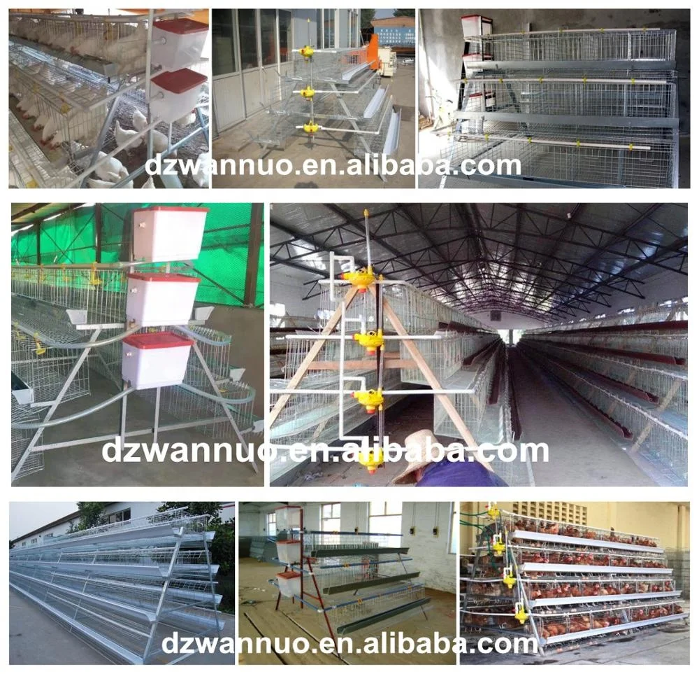 Hot sale layer chicken cage for Kenya/Nigeria/Tanzania/Uganda farm