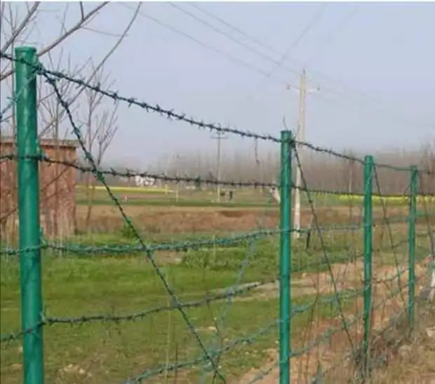 Stainless Steel Manufacturers Types 14*4 16*16 galvanized barbed wire per roll