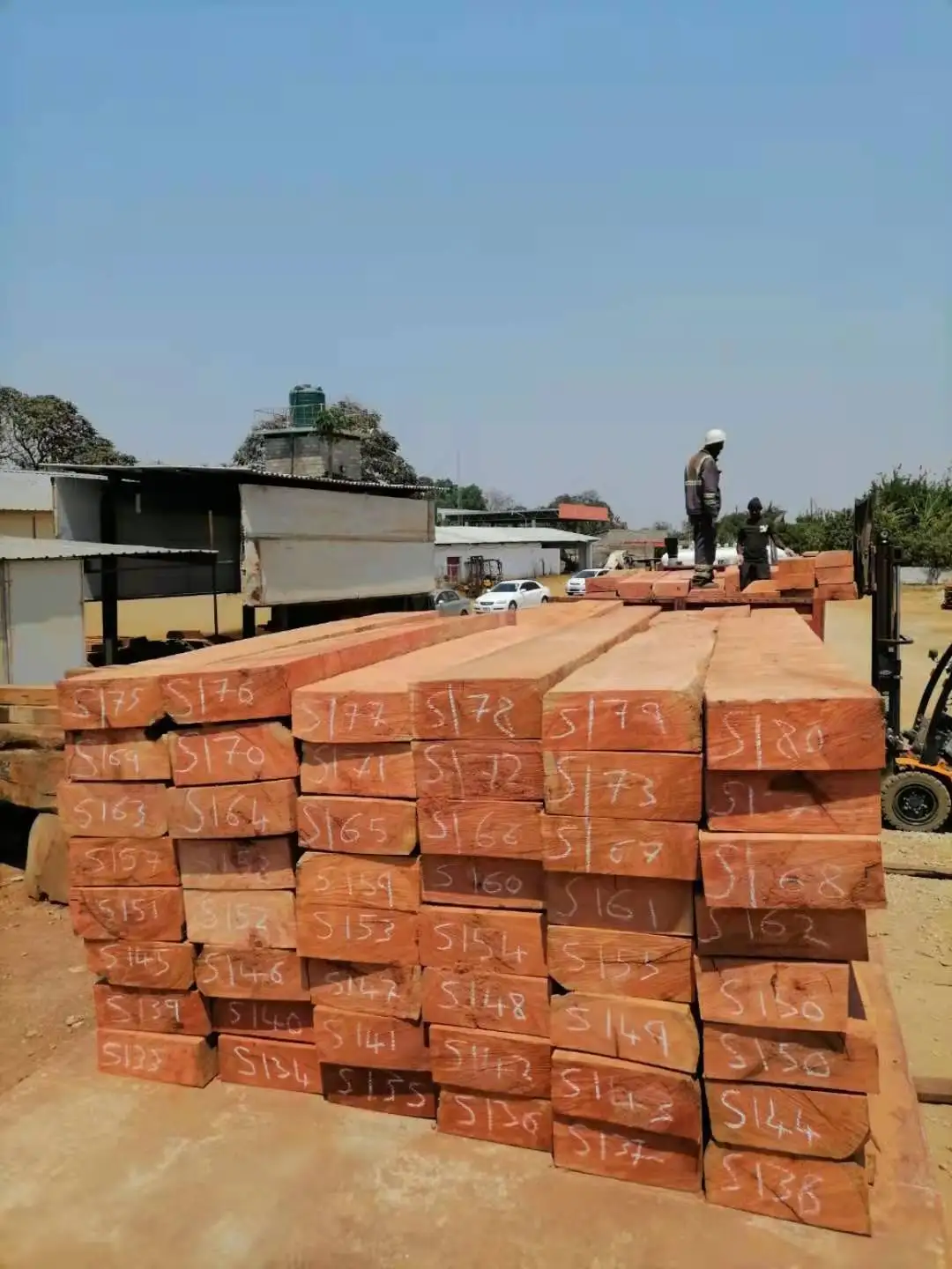 Hot Sales Zambia Mussibi/Mussivi Sawn Timber Logs for Furniture Boat Customized /Quality/ Factory Price