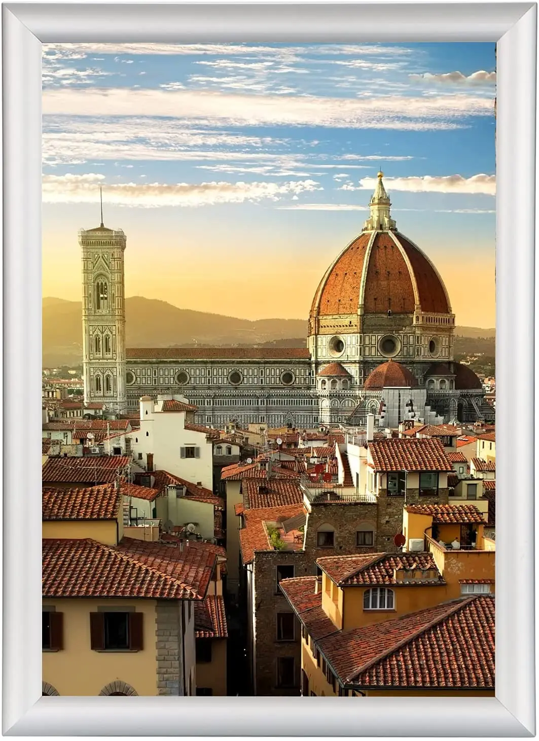 snapper frames, snapper frame aluminum poster